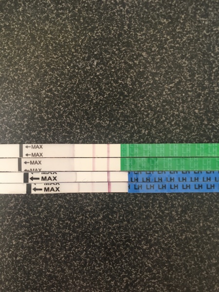 Different brand OPKs are telling me different things? Line eyes needed!