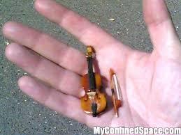 Jess Bradley, first transgender student officer, suspended after flashing photos