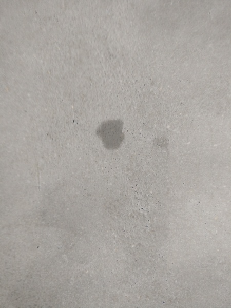 Anyone have a polished concrete floor/know about them? Help needed!