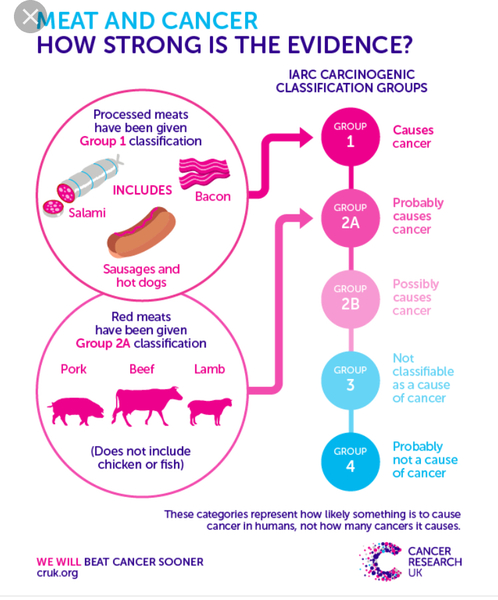Raising your kids vegetarian.