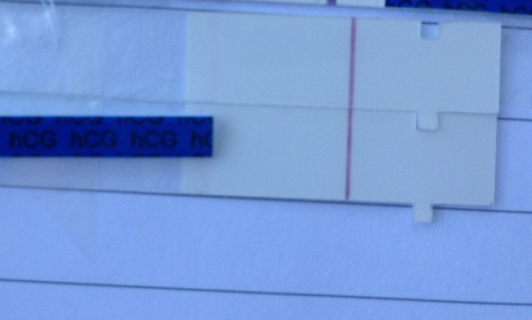 Does everyone get a faint grey line on frers?