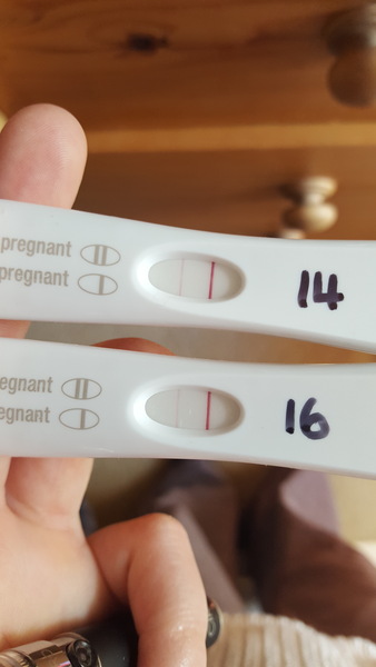TTC after pregnancy loss - thread 24 🐧🐧