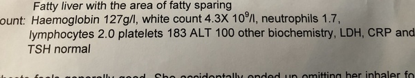 Blood test results help please/fatty liver disease
