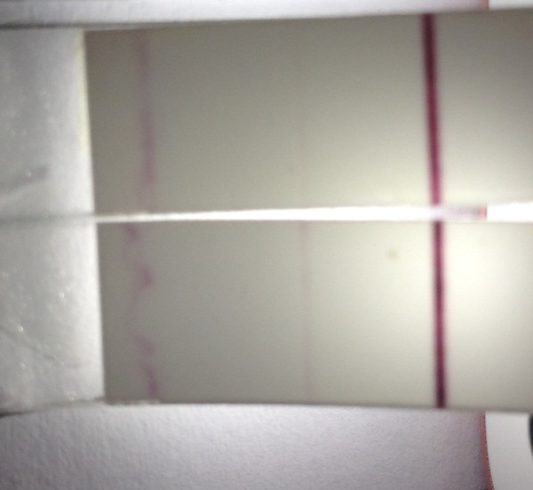 Does everyone get a faint grey line on frers?