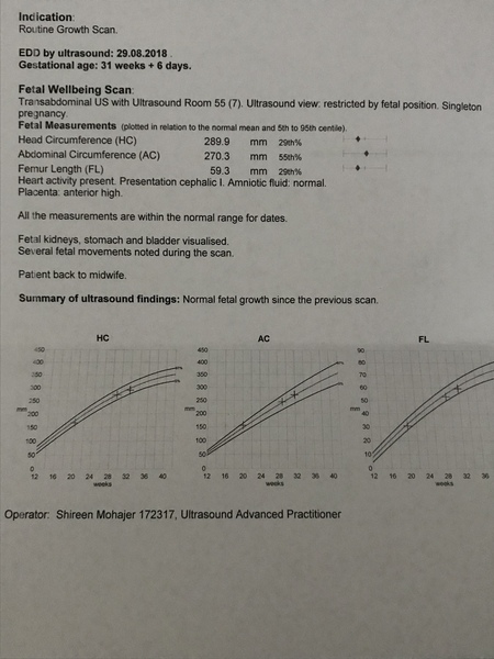 August 2018 #6 - Impending Births and The Final Push!
