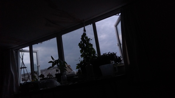 ITS FRIGGING RAINING