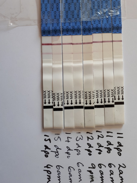 Share your clearblue positives & Evaps?!