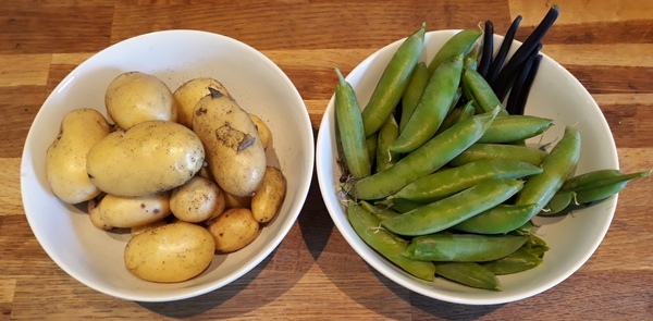 Allotment/Veg Patch Thread 12! Plotmenters hoping for better weather