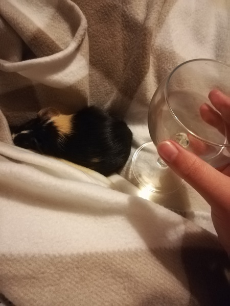 Look what I did today :)