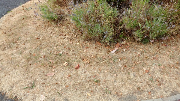 Have you seen the weather forecast for next week?!