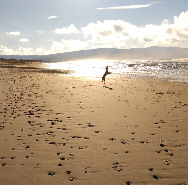 AIBU to ask about your favourite UK beach destination?