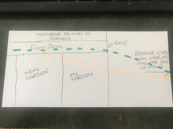 Any ideas how I could gently discourage Mr Badger from trashing my garden?