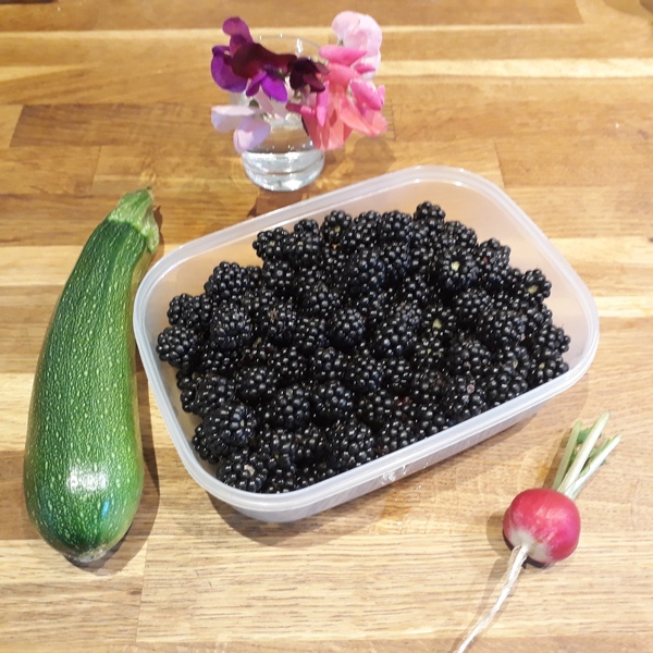 Allotment/Veg Patch Thread 12! Plotmenters hoping for better weather