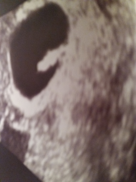 February 2019 part 3