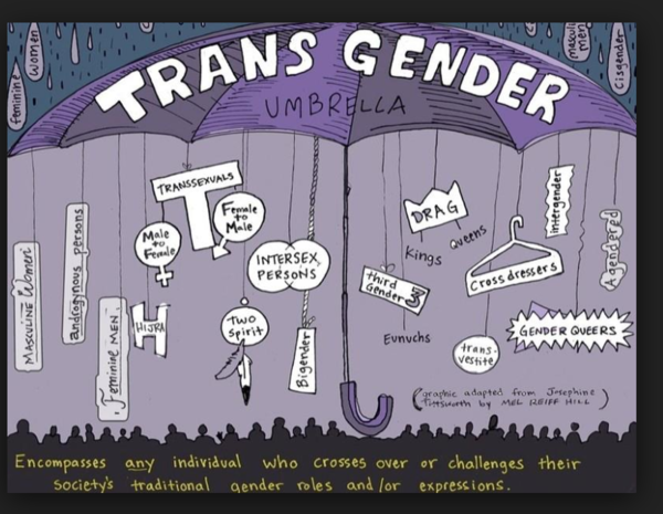 Fawcett Society Live stream from 5.30pm 'Courage Calls, Ask her to stand'