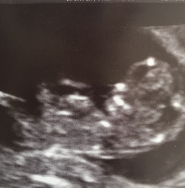 February 2019 part 4