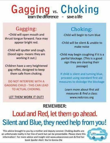 Weaning advice - prep and storing etc