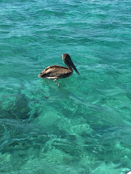 XCARET CANCUN