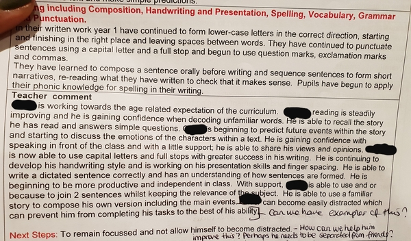 Yr 1 reading level... Not meeting expectations