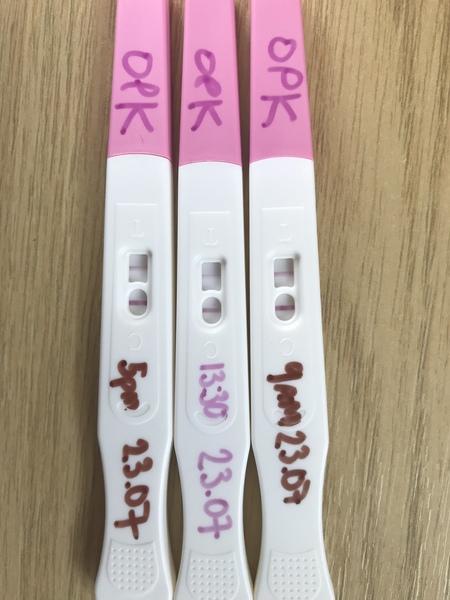 OPK advice for a newbie