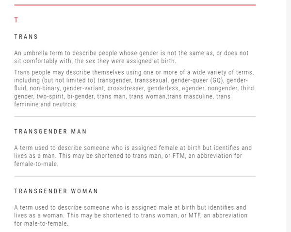 'Get the L Out' Statement by the lesbian protesters at Pride London