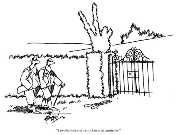 Neighbour does not like the look of my garden - threatening to sue