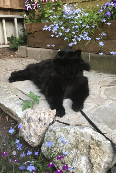 Too hot!