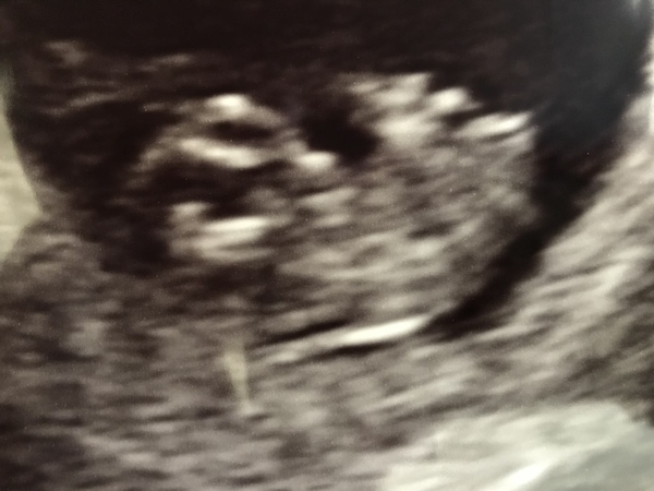 February 2019 part 3