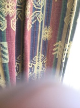 Does anyone know where this curtain fabric comes from?