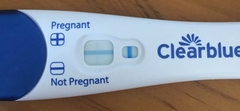 Sign of pregnancy?