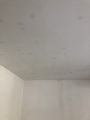 Is this damp in my unfinished new build?