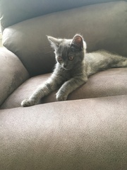 Meet the new kid on the block!