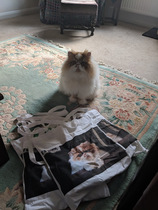 I want to show off my cat please
