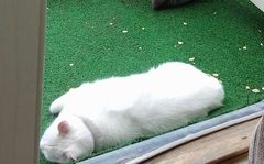 Too hot!
