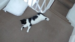 Too hot!