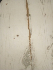 The Friendly Frugaleers: Saving and chatting as the heatwave rolls on.