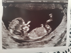 February 2019 part 4