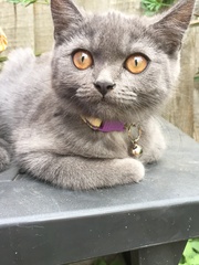 Meet the new kid on the block!