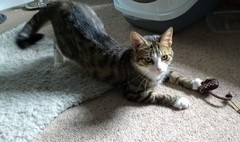 New girl settling so well - with photos