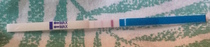 Was this implantation bleeding?!