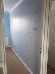 August 2018 #6 - Impending Births and The Final Push!