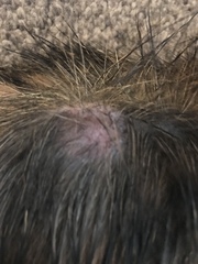 Injured cat advice needed. Pics included