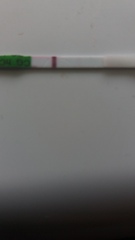 Can you see the line