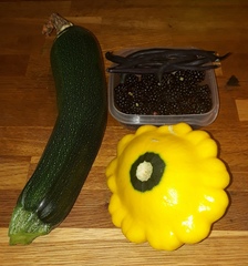 Allotment/Veg Patch Thread 12! Plotmenters hoping for better weather