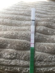 What does this OPK mean? (Picture)