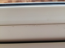 Is this acceptable? - new upvc windows