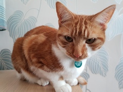 What's your DCat up to today? (Thread 7!)