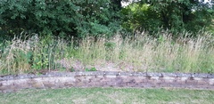 Flower bed from hell