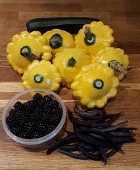 Allotment/Veg Patch Thread 12! Plotmenters hoping for better weather