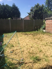 Advice needed for completely starting my garden from scratch